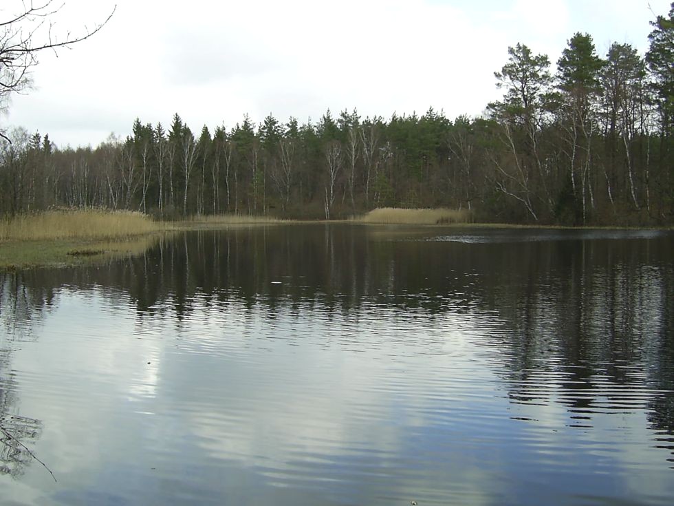 Vasasjön 1