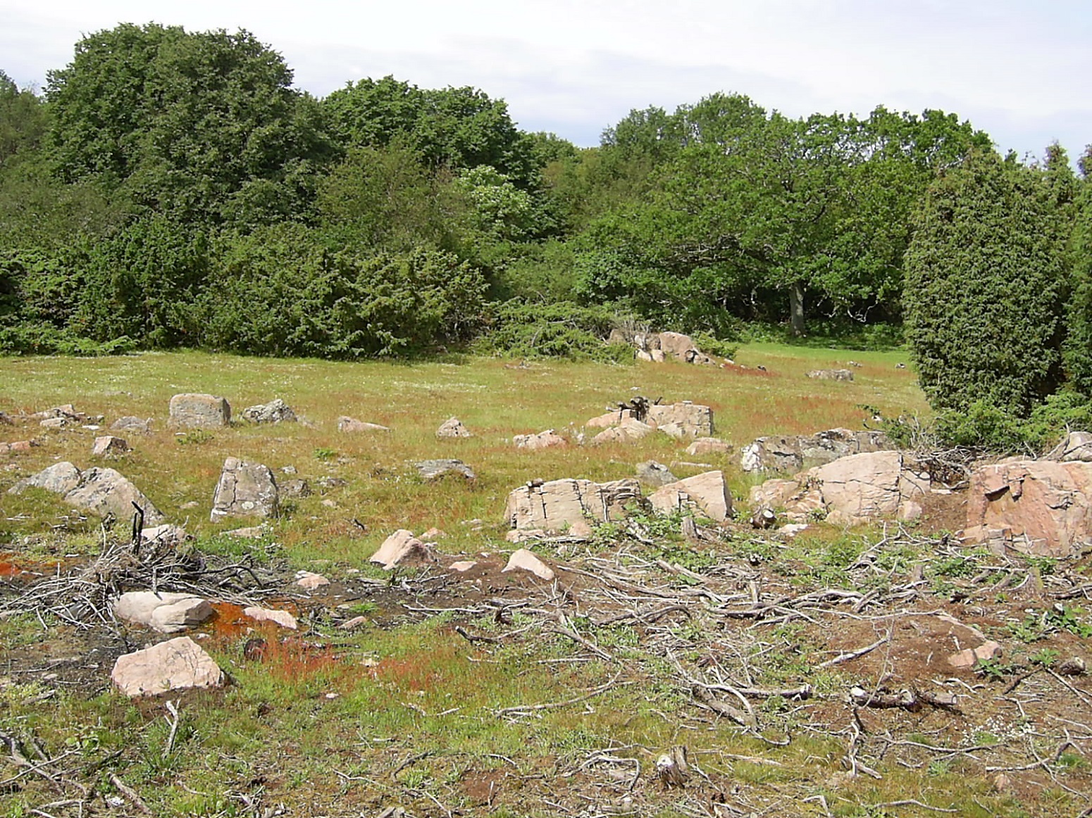 Klippor och skog