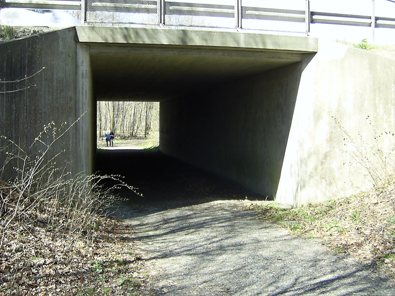 Tunnel